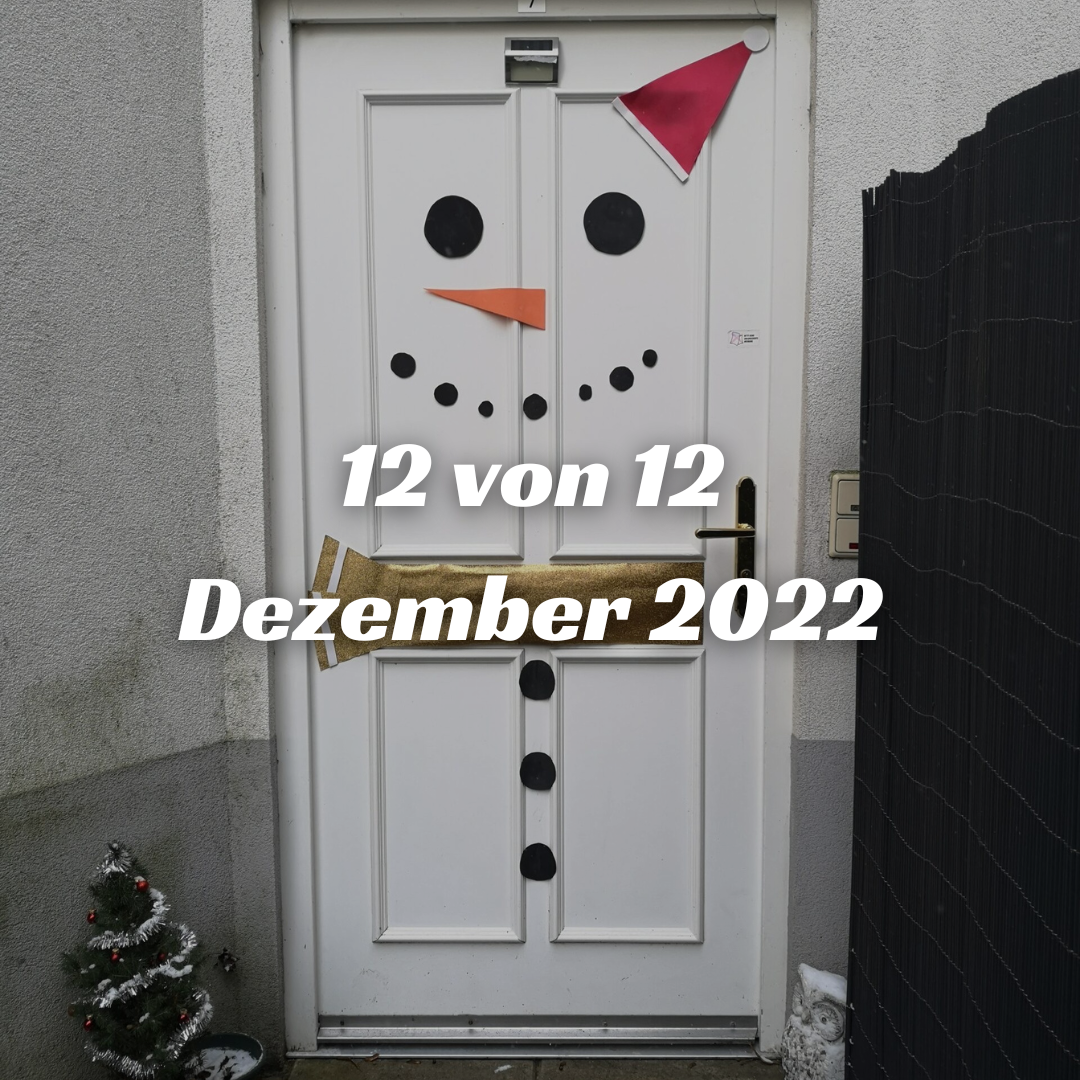 Mehr über den Artikel erfahren 12 von 12 im Dezember 2022